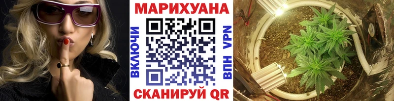 Конопля конопля Александровск-Сахалинский
